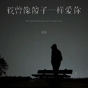 我曾像傻子一样爱你