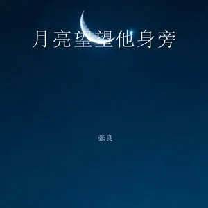 月亮替我望故乡