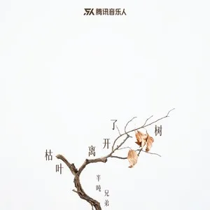 枯叶离开了树