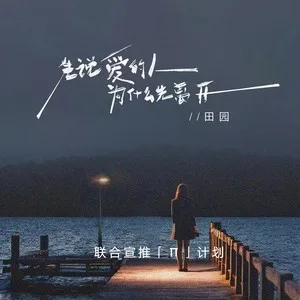 先说爱的人为什么先离开(DJ豪大大版)