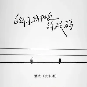 白鸽乌鸦相爱的戏码(DJ阿卓版)