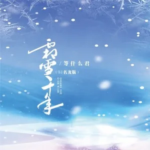 霜雪千年(DJ名龙版)