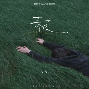 青花(DJ豪大大版)