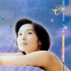容易受伤的女人