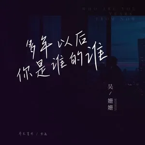多年以后你是谁的谁（DJheap九天版）