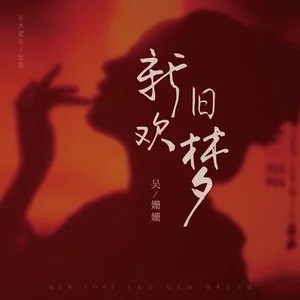 新欢旧梦（DJ沈念版）