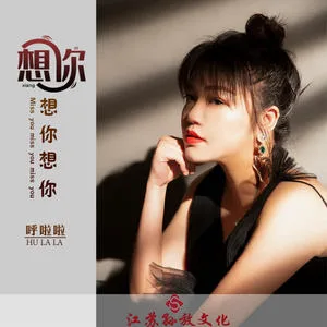 想你想你想你(DJ版)