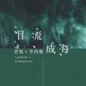 泪流成海(DJ武圣雄版)