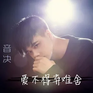 爱不得弃难舍(DJ智旭版)