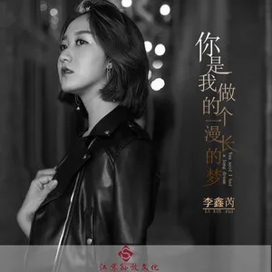 你是我做的一个漫长的梦(DJ版)
