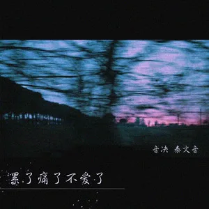 累了痛了不爱了(DJ版)
