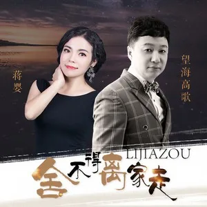 舍不得离家走(DJ版)