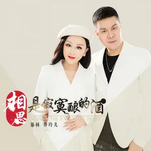 相思是寂寞酿的酒(DJ版)