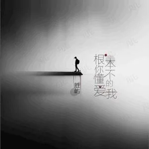 根本你不懂得爱我