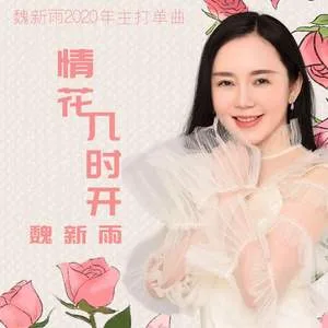 情花几时开(DJ版)