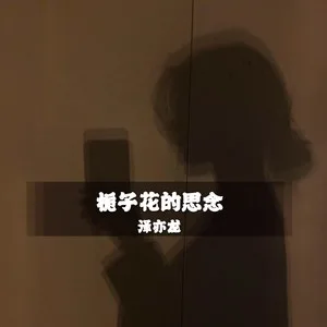 857(DJ版)