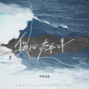 伤心太平洋车载DJ版