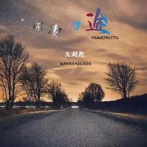 何为归途（DJ版）