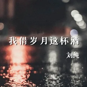 我借岁月这杯酒（DJ先森版）