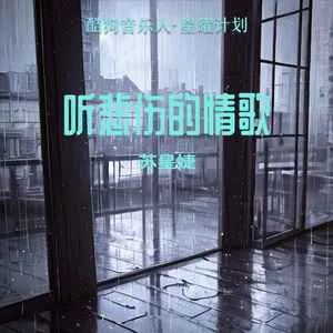 听悲伤的情歌(DJ光头版)