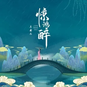 惊鸿醉(DJ名龙版)