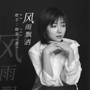风雨飘洒(DJR7版)