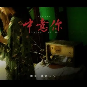 中意你(DJ阿卓版)