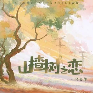 山楂树之恋