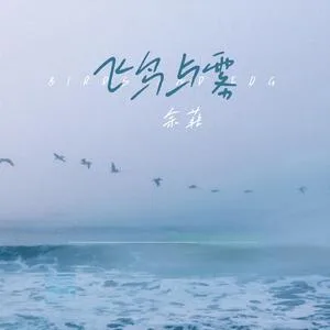 飞鸟与雾