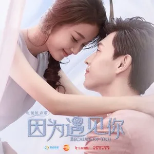 因为遇见你