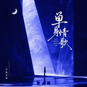 单身情歌（DJ豪大大版）