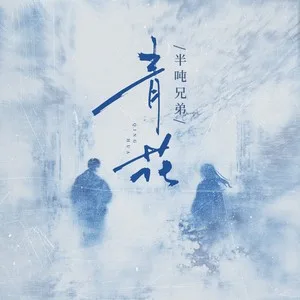青花(DJ豪大大版)