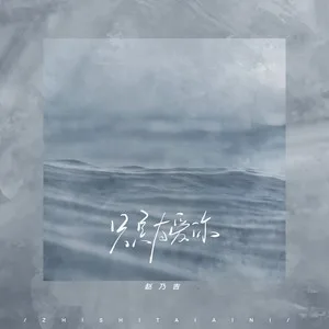 只是太爱你(DJ阿卓版)