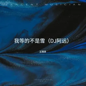 我等的不是雪(DJ加快版)
