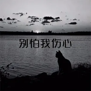 别怕我伤心（孟令辉版）