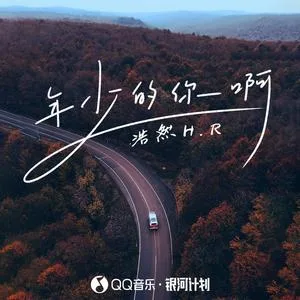 年少的你啊(DJ沈念版)