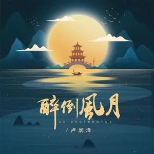 醉倒风月(Dj沈念版）