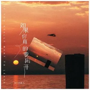 如果你真的要离开DJ加快版