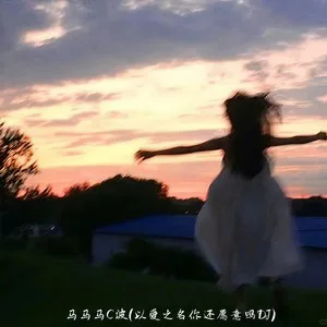 马马马C波 (以爱之名你还愿意吗DJ)