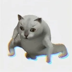 oiiai猫
