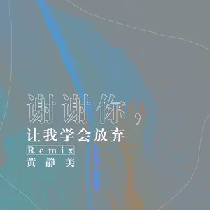 谢谢你，让我学会放弃(Remix)