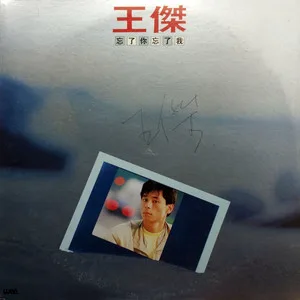 忘了你，忘了我(黑胶版)