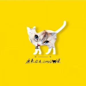 原来你是这种小猫咪