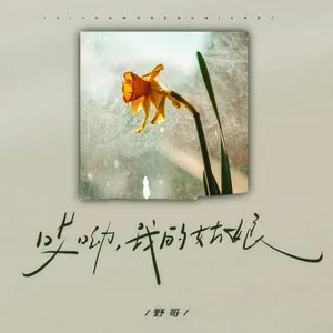 哎呦我的姑娘(DJ豪大大版)