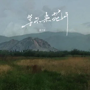 等不来花开(DJ版)