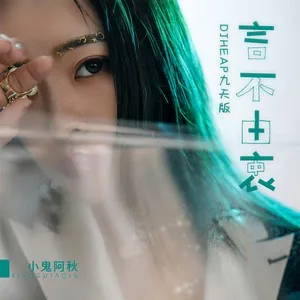 言不由衷(DJ版)