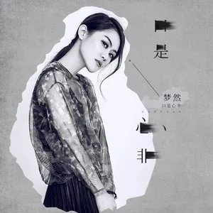口是心非(DJ沈念版)