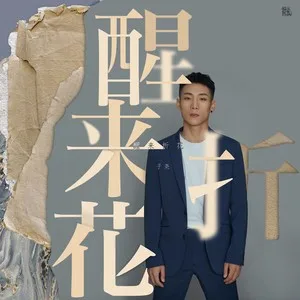 醒来折花（DJ阿圣版）(Remix)