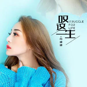 叹这一生(DJ亚明版)