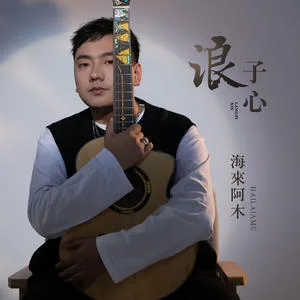 浪子心(DJ沈念版)
